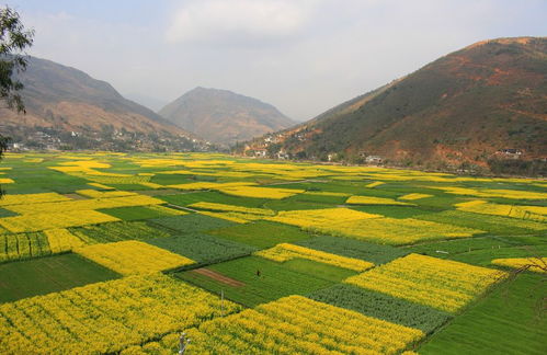 大理永平汽车多少公里